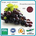 grape seed extract  natural  polyphenols powder 3