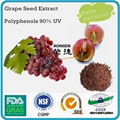 grape seed extract  natural  polyphenols powder 2