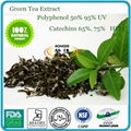  green tea extract and spirulina healt drink  lossing weight  7