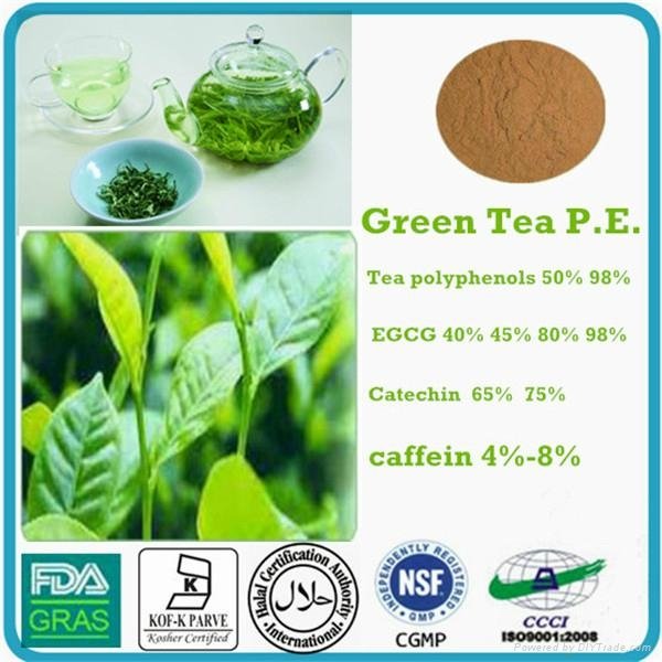  green tea extract and spirulina healt drink  lossing weight  5