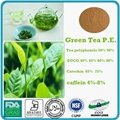  green tea extract and spirulina healt drink  lossing weight  5