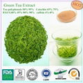  green tea extract and spirulina healt drink  lossing weight  8