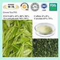  green tea extract and spirulina healt drink  lossing weight  9