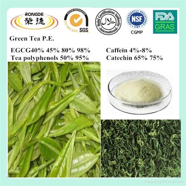  green tea extract and spirulina healt drink  lossing weight  3