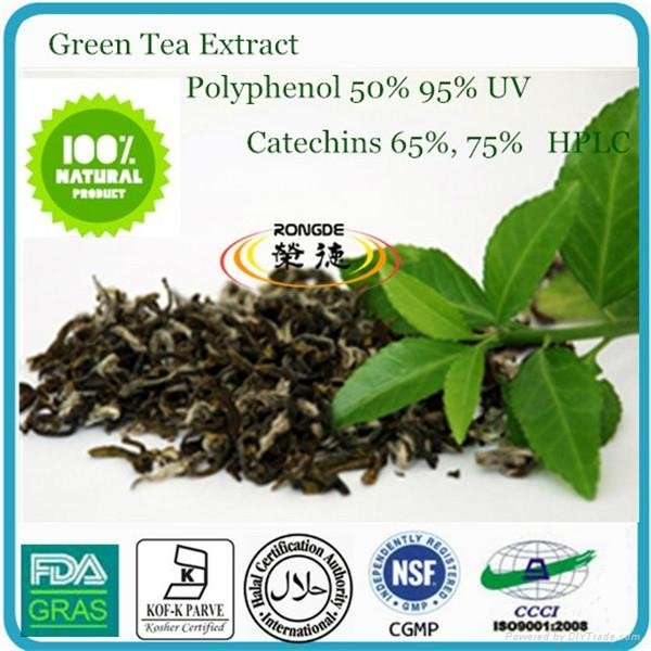  green tea extract and spirulina healt drink  lossing weight  2