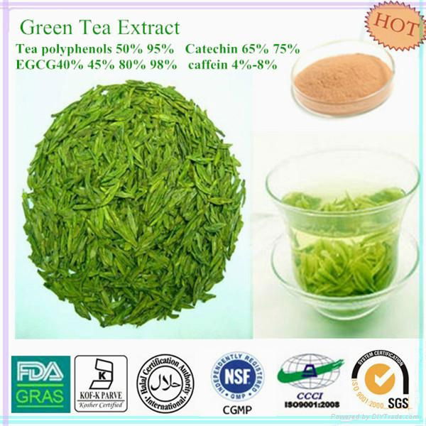  green tea extract and spirulina healt drink  lossing weight 
