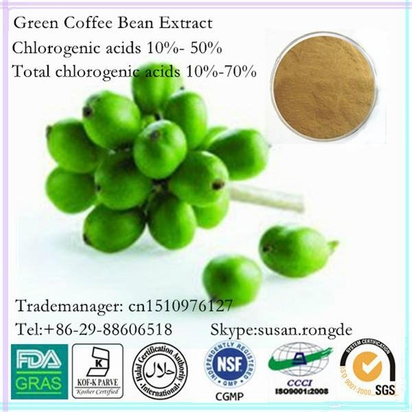 pure dr oz benefits green coffee bean extract from dried beans 4