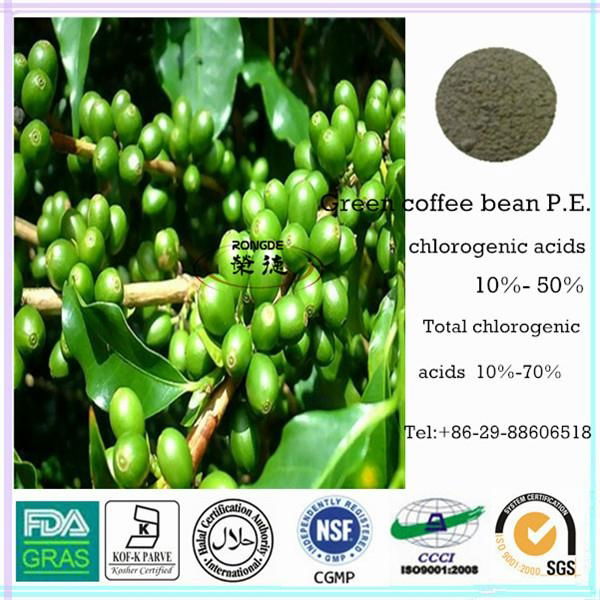 pure dr oz benefits green coffee bean extract from dried beans 5
