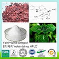 pure natural Yohimbine Extract 