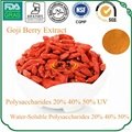  Goji Berry Extract  3