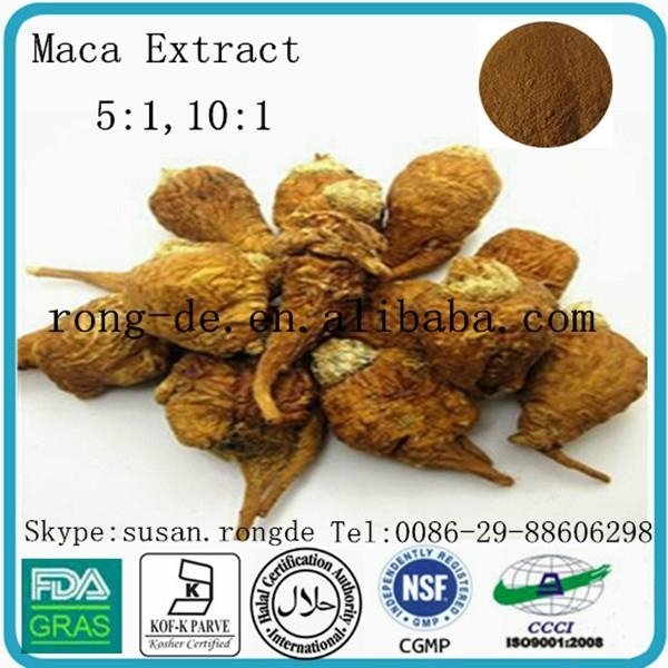 Maca Extract 5:1,10:1 or customized