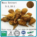 Maca Extract 5:1,10:1 or customized