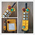 F24-6D Electronic chain hoist remote