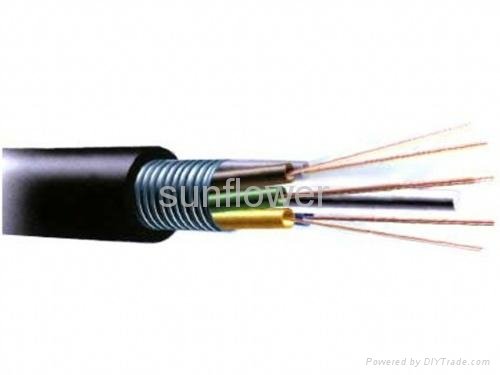 Fiber Optical Cable 3