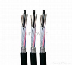 Fiber Optic Cable