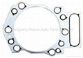 3634664 -GASKET CYLINDER HEAD, K19,K38