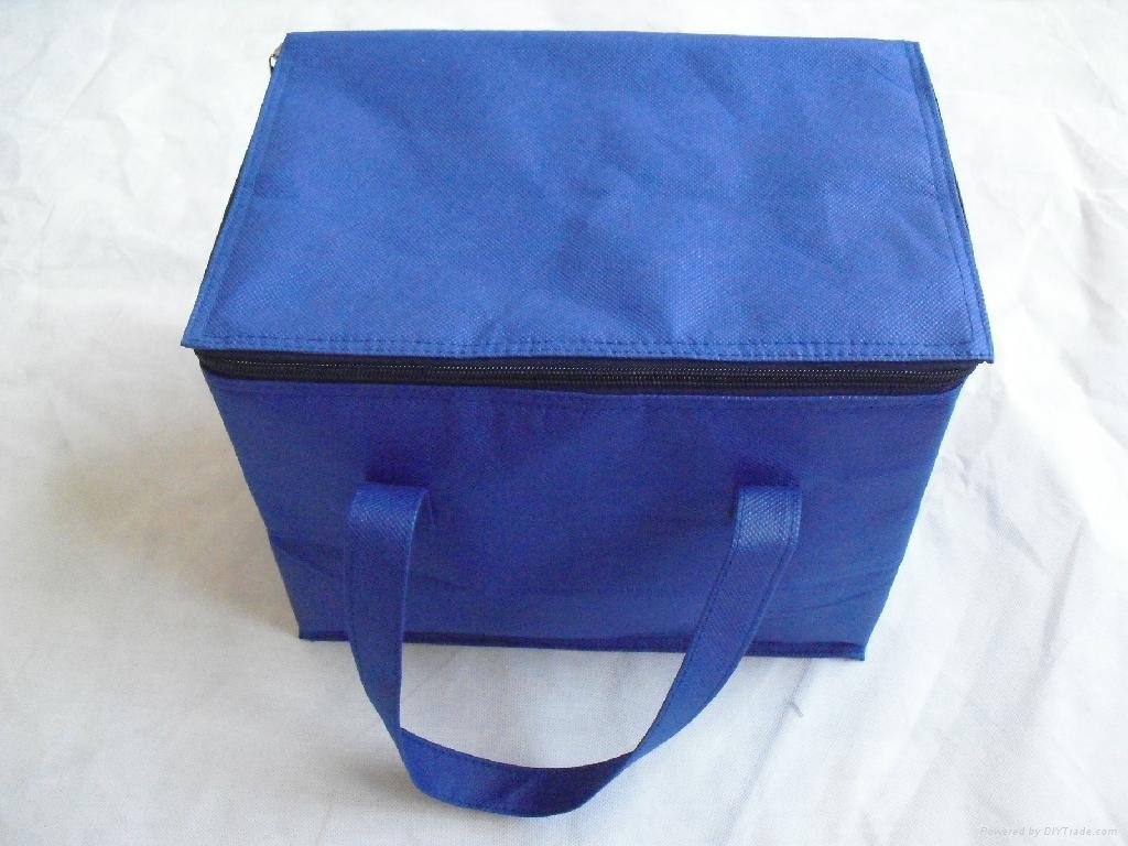simple cooler bag  2