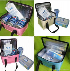 China manufacture cooler bags 