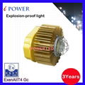 led explosion-proof light