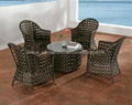 poly rattan coffee set