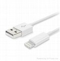 8 Pin to USB Cable Charging Sync Cord for iPhone 5 iPod iTouch Nano 7th Gen New