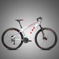 Bicycle factory TWITTER Aluminum alloy MTB bike TW3900XC-29ER