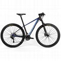 China Bicycle supplier Twitter Carbon mountain bike BLAIR6.0 1