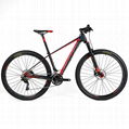 China Bicycle supplier Twitter Carbon mountain bike BLAIR6.0