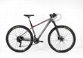 High quality carbon mountain bike TWITTER BICYCLE WARRIOR-PRO-29ER