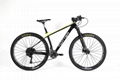 High quality carbon mountain bike TWITTER BICYCLE WARRIOR-PRO-29ER