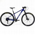 High quality carbon mountain bike TWITTER BICYCLE WARRIOR-PRO-29ER