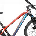 Factory wholesale High quality bicycle TWITTER carbon MTB PREDATOR-29ER-12S