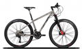 TWITTER Bike WERNER MTB,Titanium Alloy