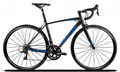 Direct Bicycle Factory TWITTER AL mountain road bike R750 carbon fork  1