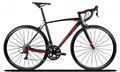 Direct Bicycle Factory TWITTER AL mountain road bike R750 carbon fork  4