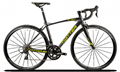Direct Bicycle Factory TWITTER AL mountain road bike R750 carbon fork  2