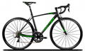 Direct Bicycle Factory TWITTER AL mountain road bike R750 carbon fork  3