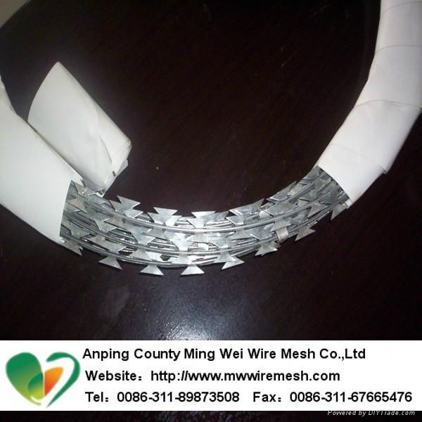 China manufacturer galvanised razor barbed wire 3