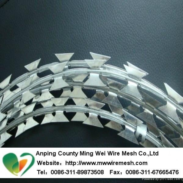 China manufacturer galvanised razor barbed wire 4