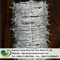 Best Barbed wire galvanized barbed wire