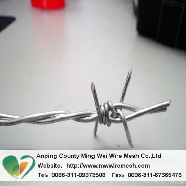 Best Barbed wire galvanized barbed wire 3