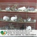 China factory high quality used rabbit cages for sale