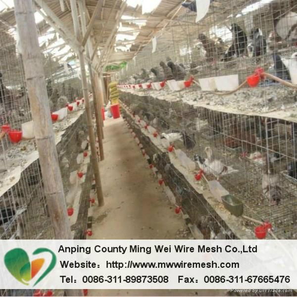 China factory high quality used rabbit cages for sale 2