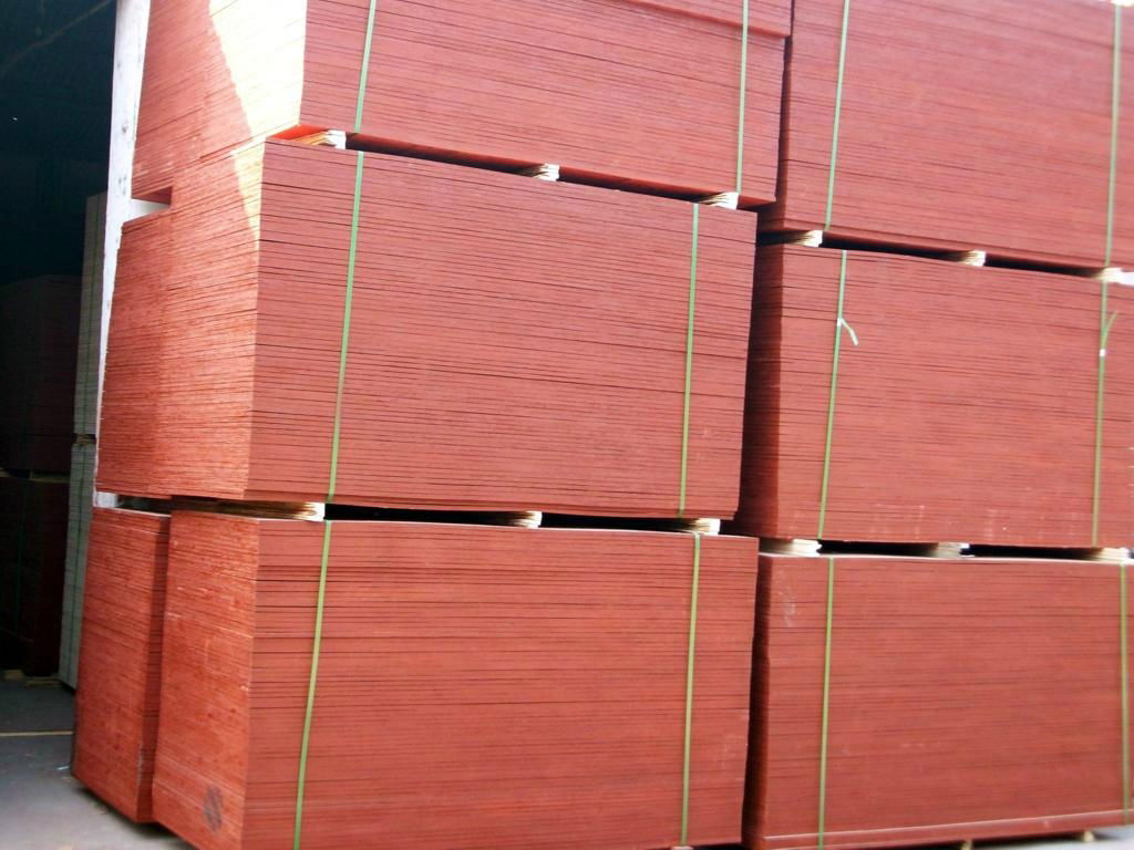 China concrete formwork plywood for construction 3