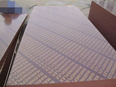 China concrete formwork plywood for construction