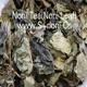 noni tea(leaf) material bulk