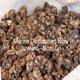 S-NONI DRIED NONI FRUIT 1