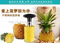 Stainless Steel Pineapple corer