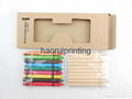 Kraft paper box 10PCS pencils +9PCS pastel Pencils set environmental protection 