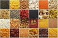 All Kind of Herbal Extract and Herbal